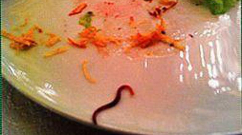 Črv je guvernerja osrednjeruske regije spravil v nezavidljiv položaj. Sporočilo 