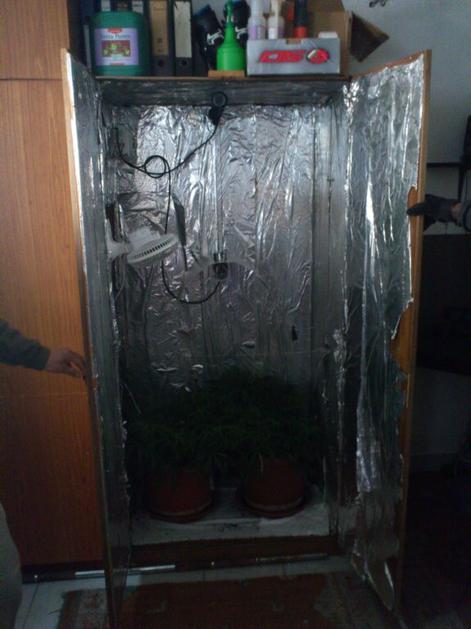 Laboratorij za gojenje konoplje