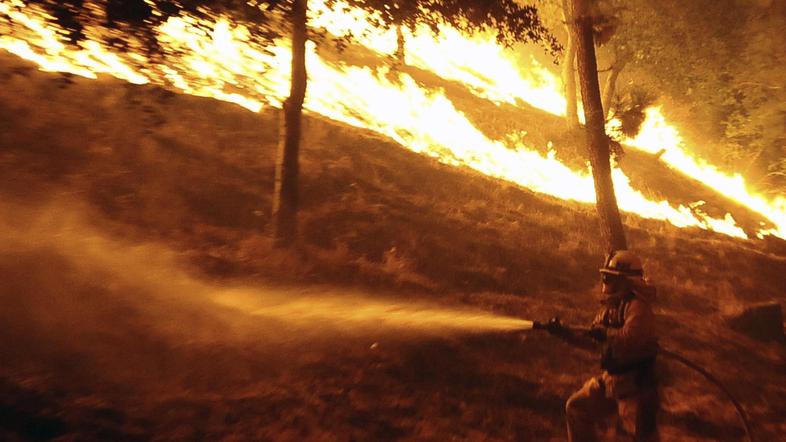 Grške oblasti so zaradi gozdnega požara na zahodu otoka Samos razglasile izredne