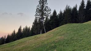 Sorica, lovska opazovalnica