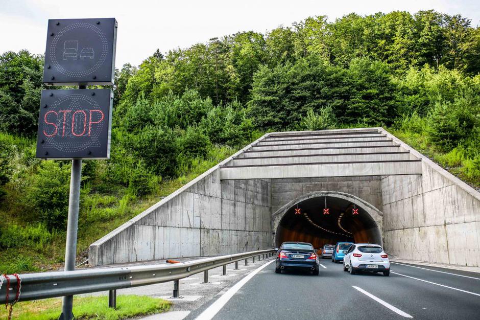 Golovec | Avtor: Saša Despot