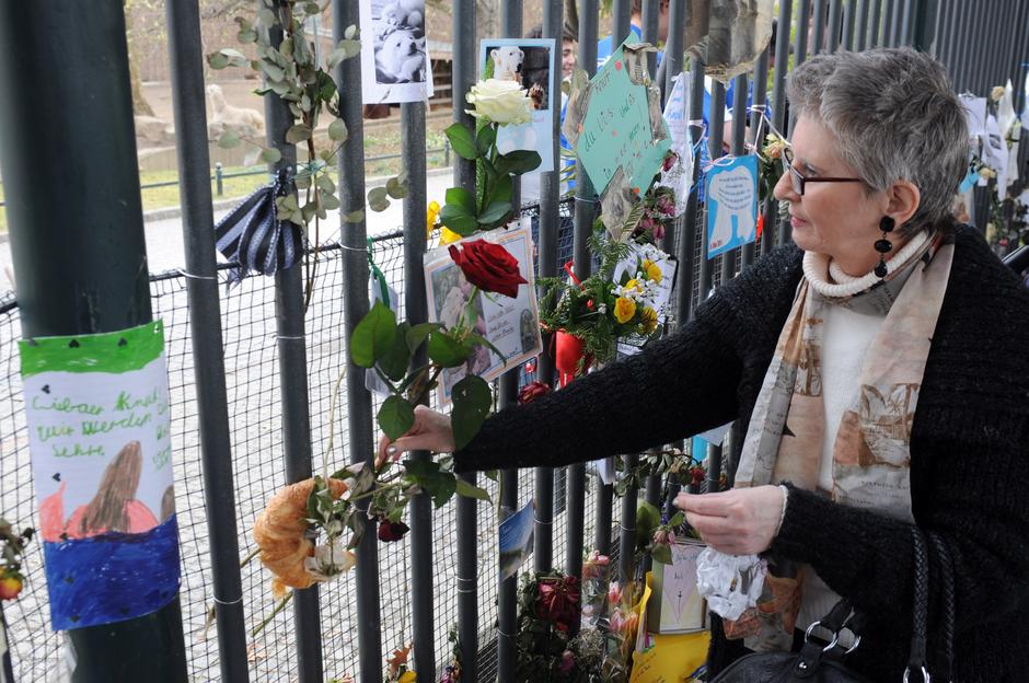 knut | Avtor: Žurnal24 main