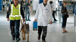 psi na letališču