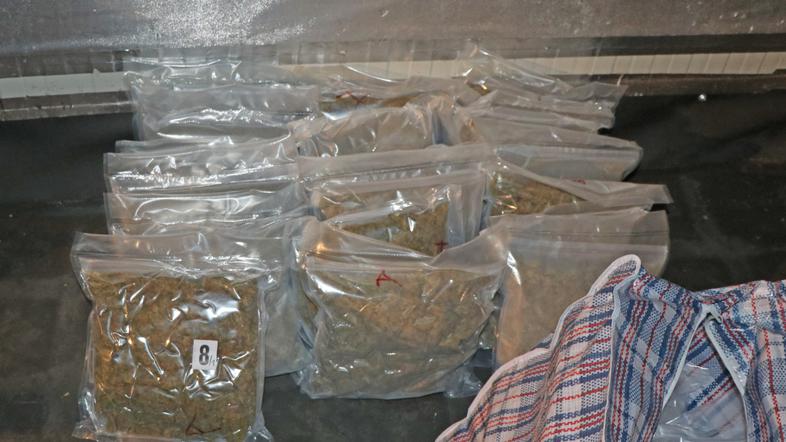 laboratorij droga marihuana idrija