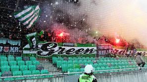 Tekma Maribor - Olimpija Pokal Slovenije Ljubljana Green Dragons navijači