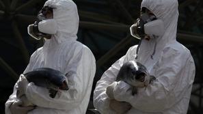 seul, vrh o jedrski varnosti, protesti, protestniki