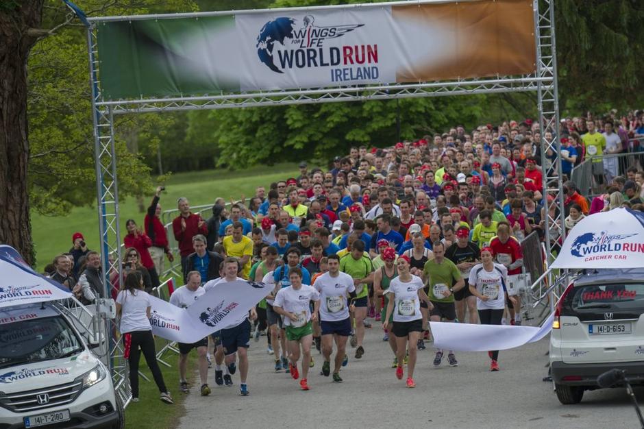 wings for life | Avtor: Redbullcontentpool.com