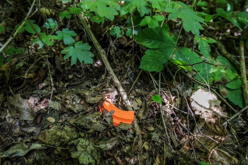 Toško Čelo | Avtor: Saša Despot