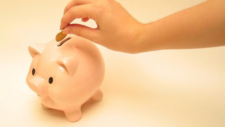 Brezglavo trošenje rezerv vas ne bo rešilo iz krize. (Foto: Shutterstock)