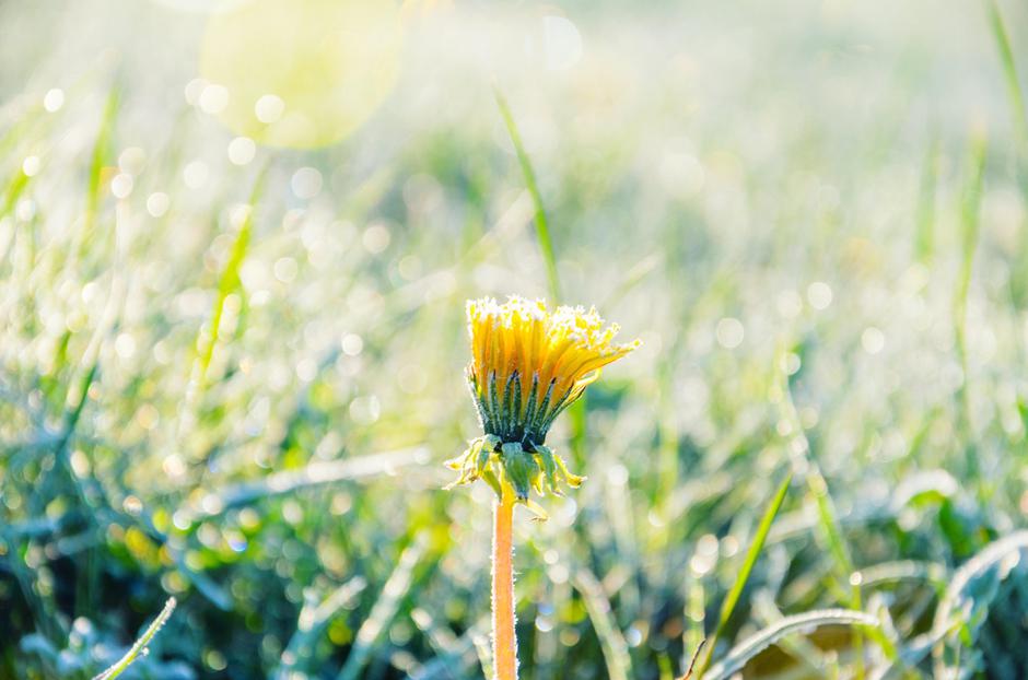 Mrzlo jutro | Avtor: Profimedia