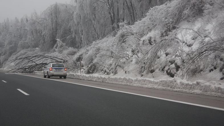 Snežna ujma v Postojni