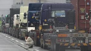 Tovornjaki so obstali v pristaniščih.