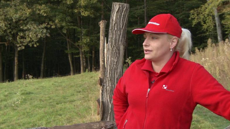 Ivica, Kmetija: Nov začetek