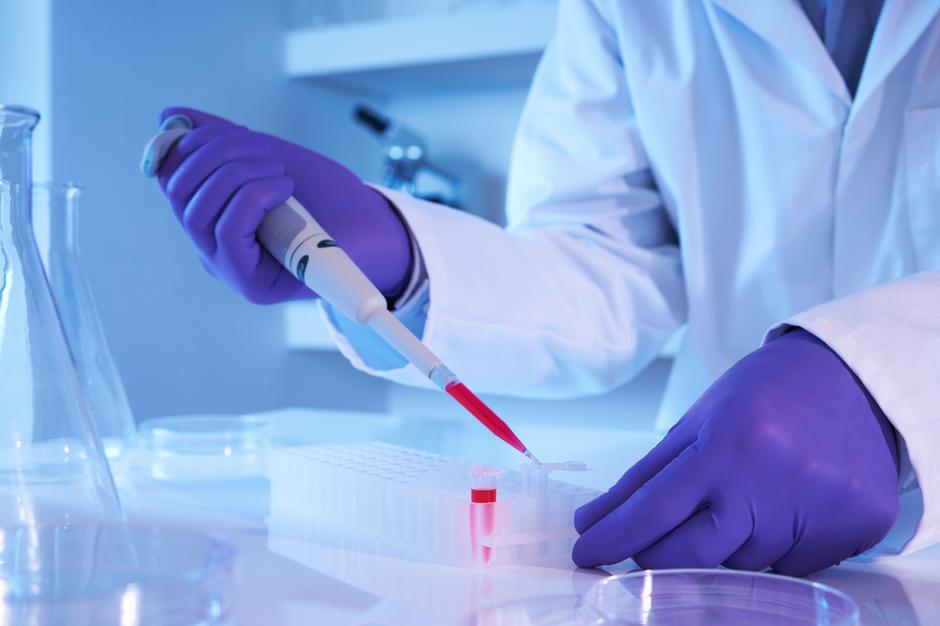 matične celice laboratorij | Avtor: Shutterstock