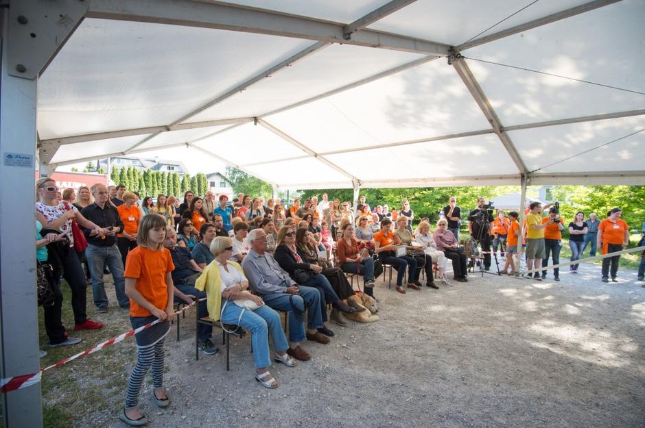 ambasadorji nasmeha | Avtor: Anže Petkovšek