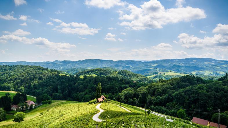 Špičnik Srce Maribor Vinograd