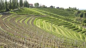 Pomurje se otepa z več kot 20-odstotno brezposelnostjo, kar je dvakrat več kot d