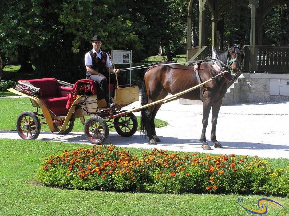 Blejski fijaker | Avtor: Občina Bled