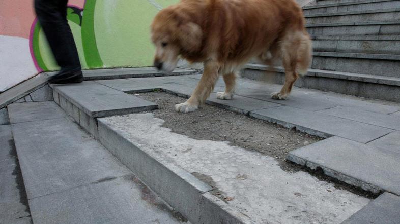 Za tiste, ki vidijo in lahko hodijo, tale razpad stopnišča mogoče ni največji pr