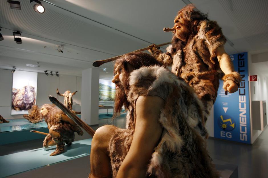 Neandertalci | Avtor: Profimedias