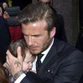 David Beckham Harper