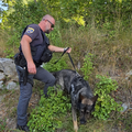 Oborožen ropar, policija