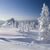 Padavin v notranjosti Sibirije ni veliko, a sneg, ki zapade, se zaradi mraza obd