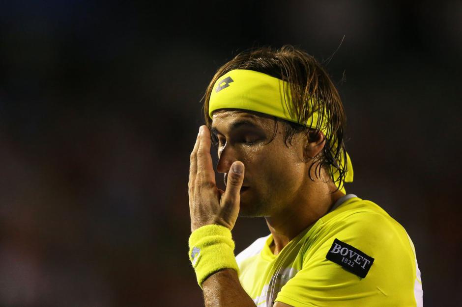 op avstralije melbourne đoković ferrer polfinale | Avtor: EPA