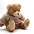 medvedek, plišasta igračka
