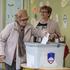 oddaja glasov na evropskih volitvah