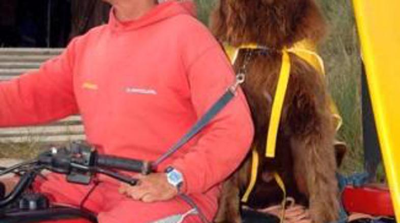 Steve je besen in razočaran, Bilbo pa ... Bo lahko še tekal po plaži?