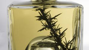 V steklenici je bila namesto encijana namočena neznana rastlina. Fotografija je 