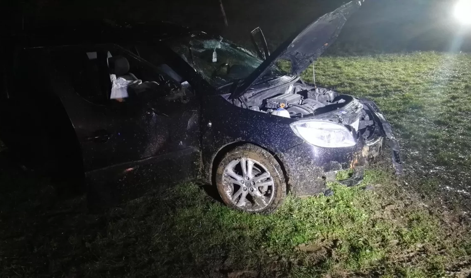 Pijan zdrsnil s ceste, njegov brat je umrl