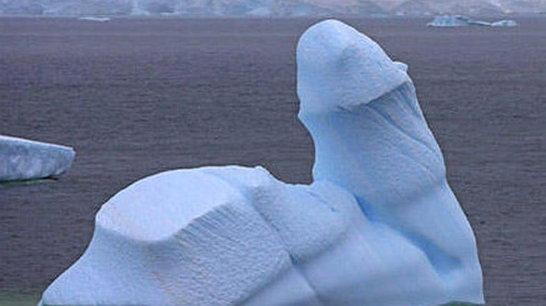 Fotograf je bil nad stvaritvijo matere narave verjetno navdušen.