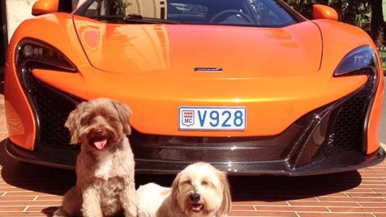 Psa in avtomobili