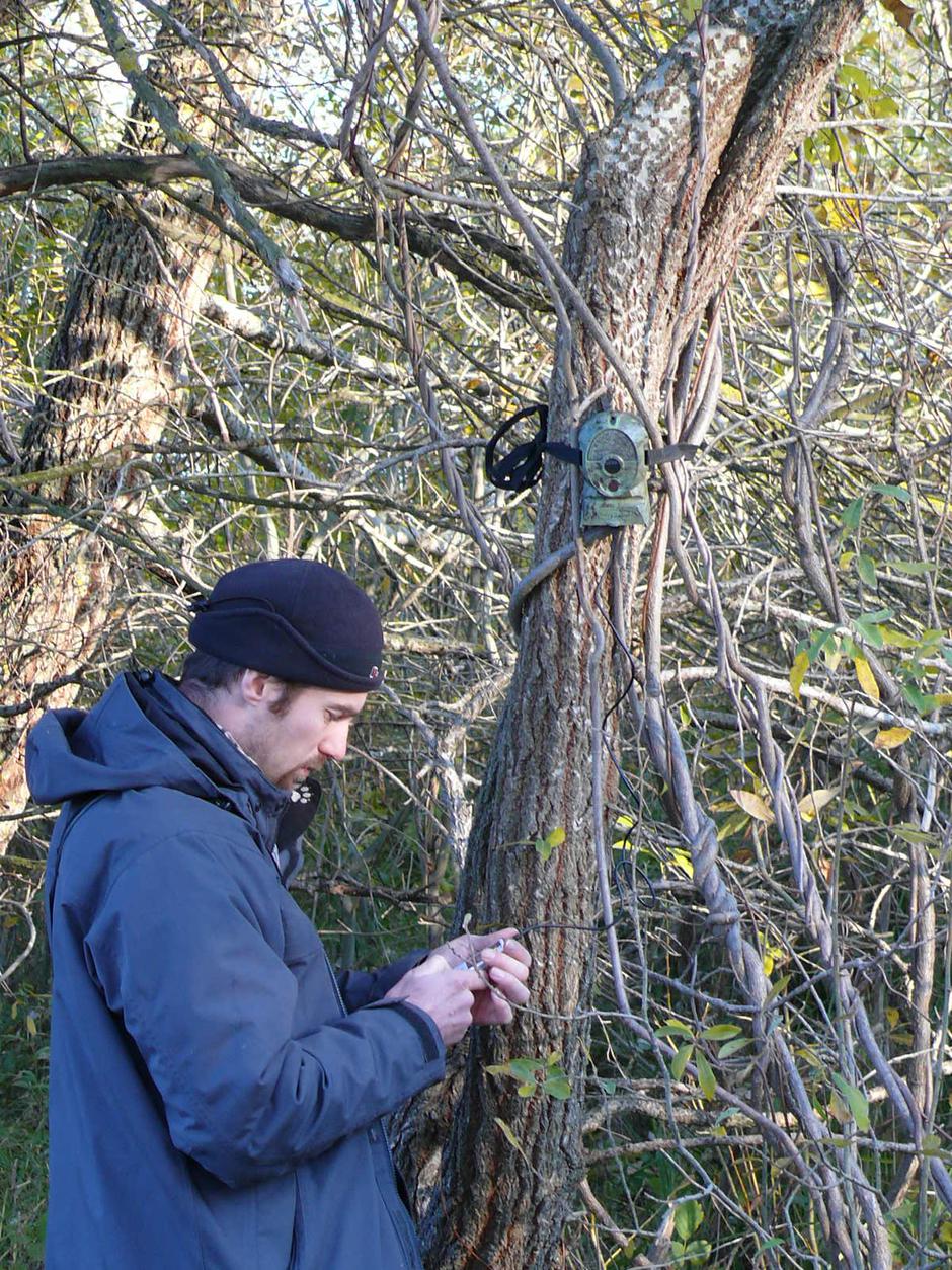  | Avtor: Miha Krofel