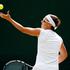 Flipkens Wimbledon tenis OP Anglije grand slam