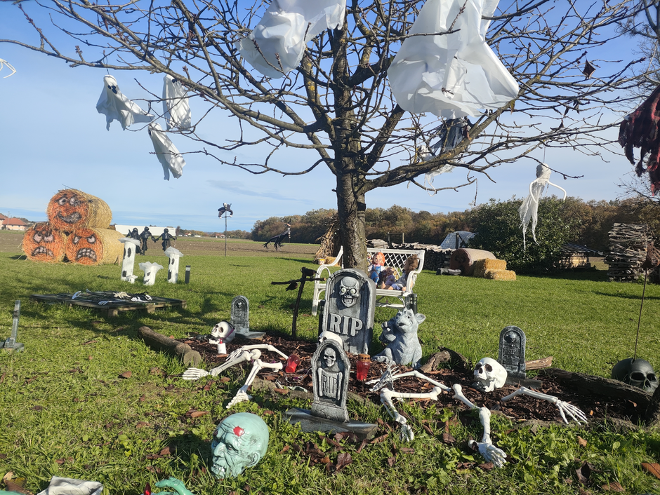 Kmetija Jančar | Avtor: uredništvo