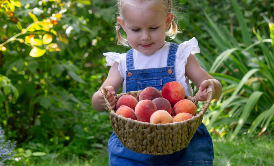 Breskve | Avtor: Profimedia