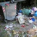 Slovenija 18.12.12, medvedi, hrana, vaba, smetnjak, odpadki, foto: miha krofel
