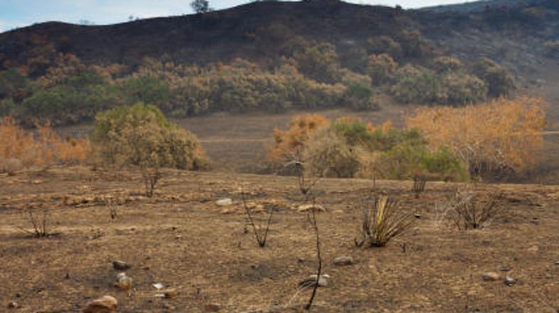 Grčija se bo v prihodnjih letih soočala s sušo, dezertifikacijo in povišanjem te