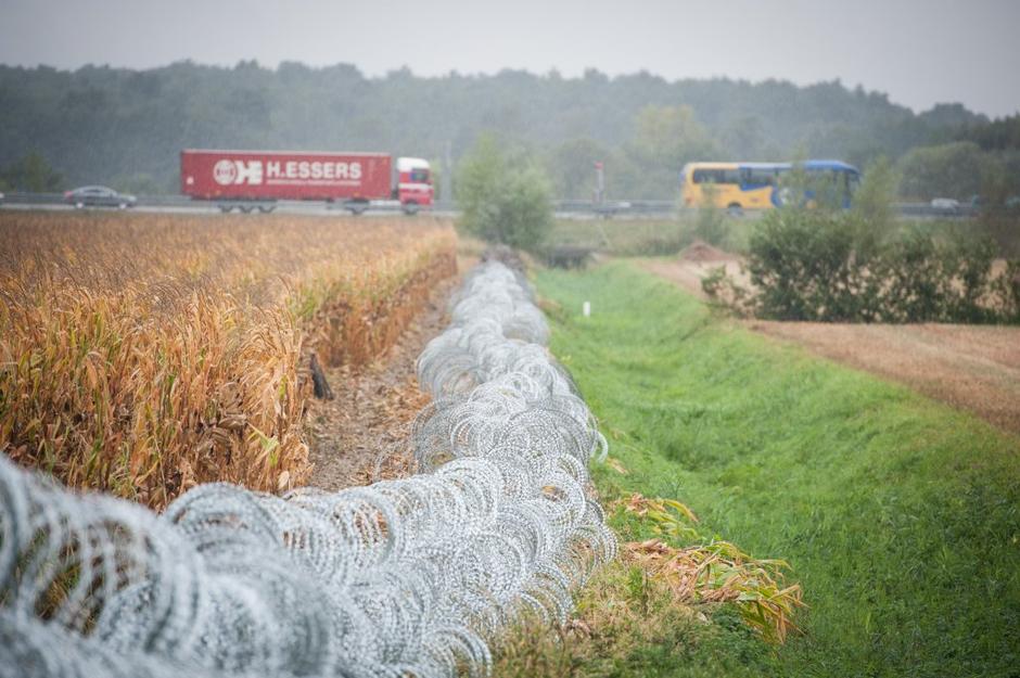 Pince | Avtor: Anže Petkovšek