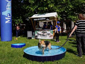 festival za ljubitelje živali