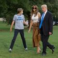 donald, melania, barron trump