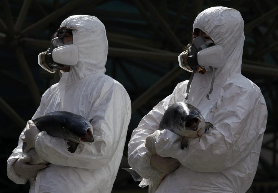 seul, vrh o jedrski varnosti, protesti, protestniki