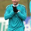 Wesley Sneijder