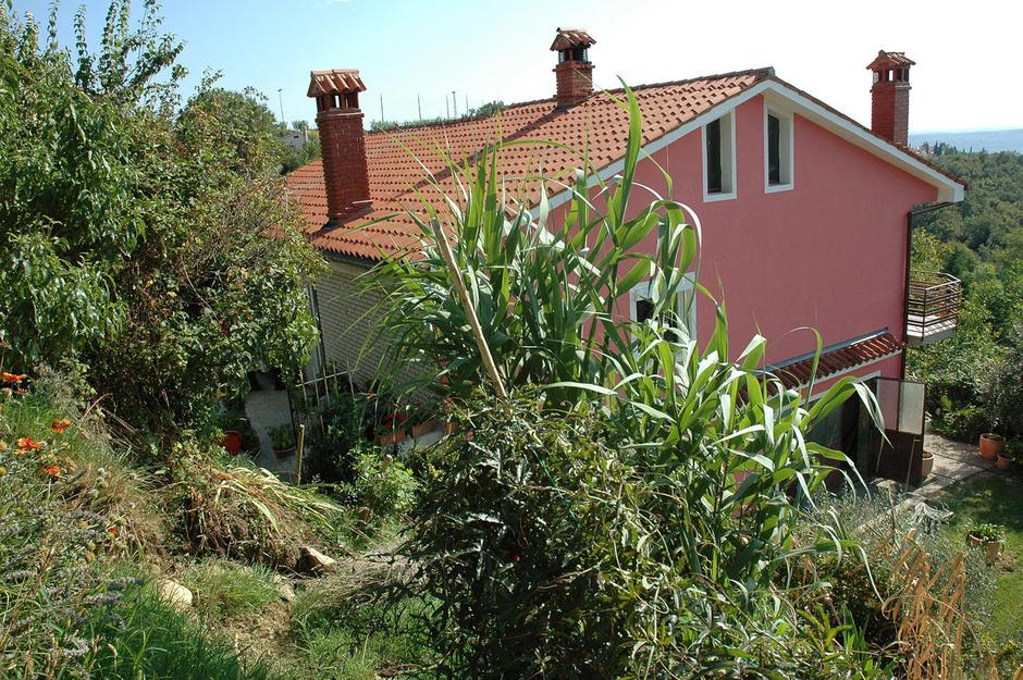 Eva %C4%8Cerne, plaz, koper | Avtor: Žurnal24 main