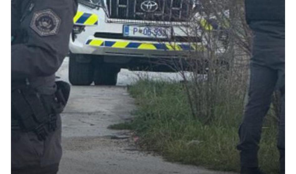 Policisti zasegli za 37 milijonov evrov robe