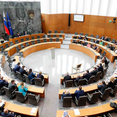 državni zbor
