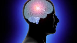 Možgani dosežejo svoj vrhunec pri 22.